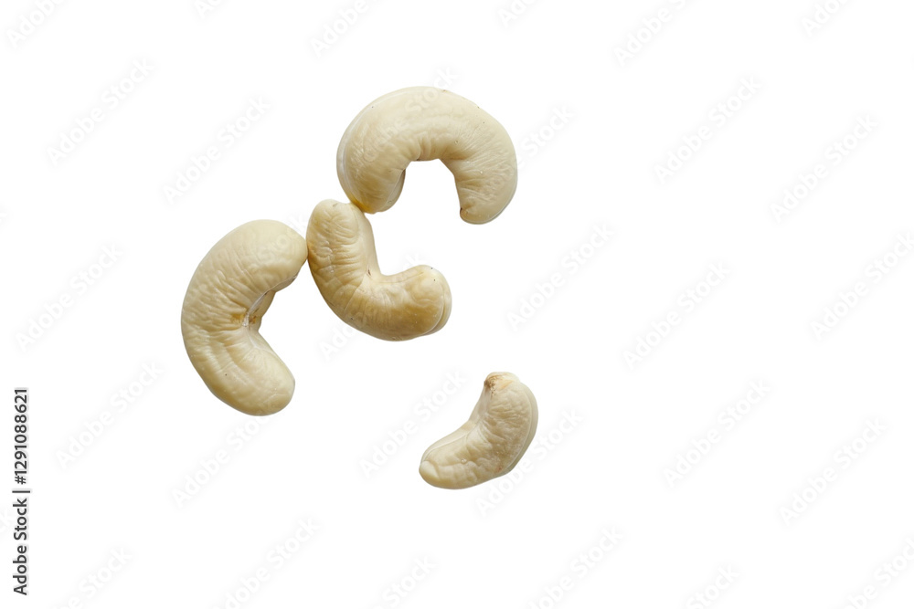 Fototapeta premium Whole Cashew Nut on a Transparent or White Background