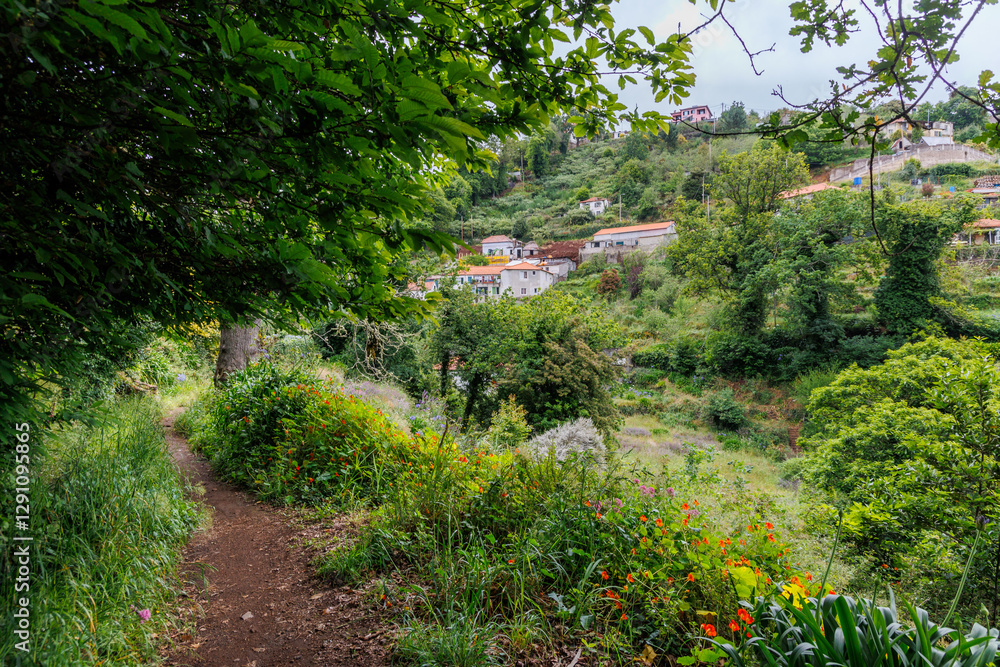 Footpath along irrigation channel called levada in Camacha city on Madeira Island, Portugal