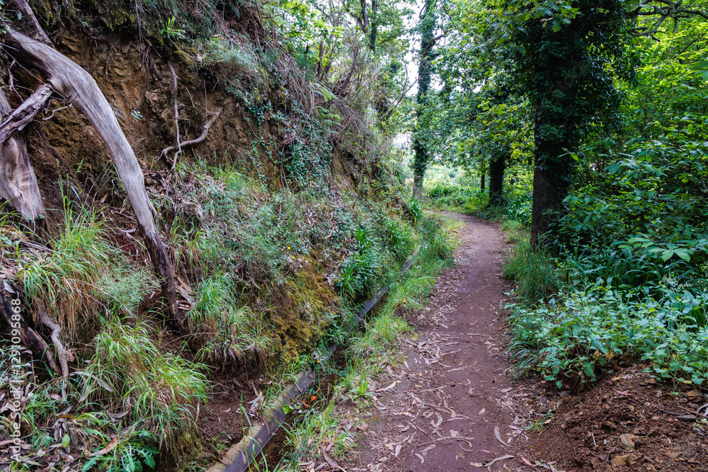 Footpath along irrigation channel called levada in Camacha city on Madeira Island, Portugal