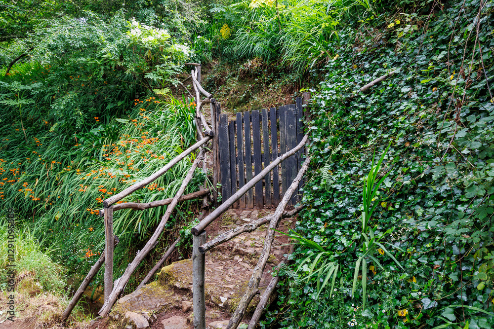 Stone steps next to footpath along irrigation channel called levada in Camacha city on Madeira Island, Portugal