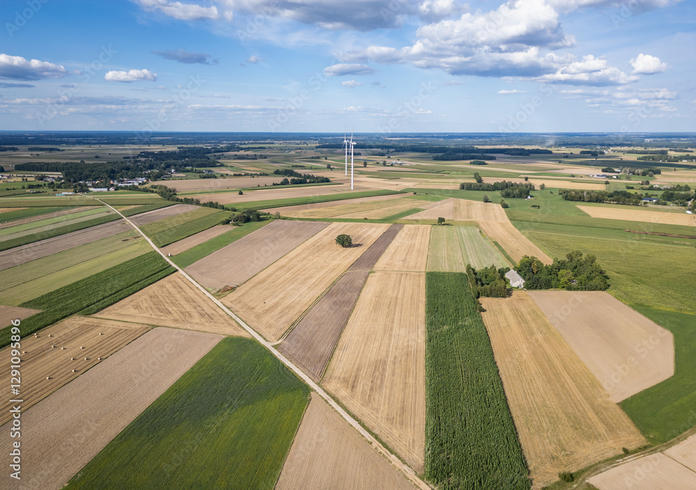 Aerial view near Czaple village, Mazowsze region of Poland