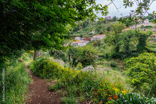 Obraz na płótnie Footpath along irrigation channel called levada in Camacha city on Madeira Island, Portugal w salonie