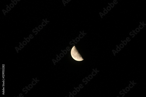 下弦の月　Halfmoon