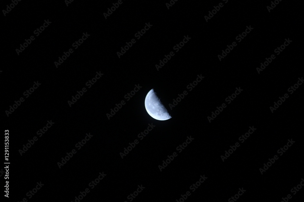 Naklejka premium 下弦の月 Halfmoon