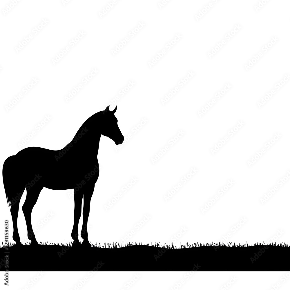 Silhouette of a wild horse standing against a vast desert landscape captured in a high contrast stencil style The stark black and white balance enhances the dramatic minimalist composition