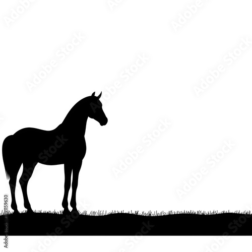 Obraz na płótnie Silhouette of a wild horse standing against a vast desert landscape captured in a high contrast stencil style The stark black and white balance enhances the dramatic minimalist composition w salonie