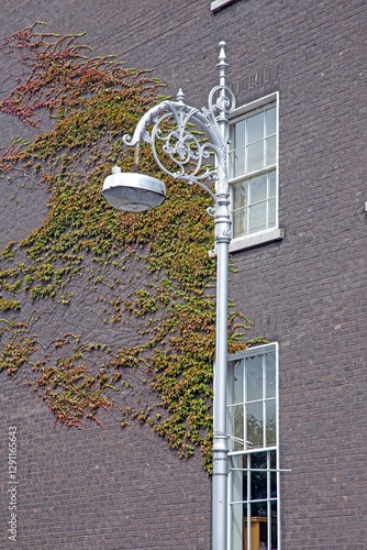 Canvas Print Ornate street lamp in Dublin with ivy covered brick wall