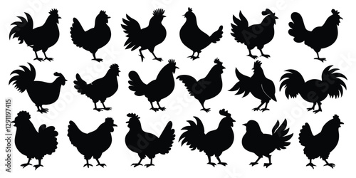 Hen or chicken black silhouettes set