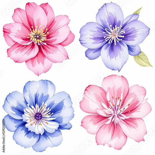 Watercolor flower, clipart isolated on a white background, in pastel colors,