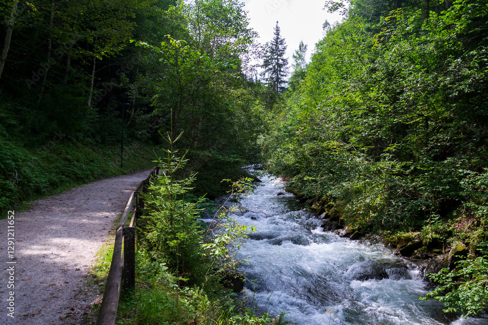 Wild waters of the Talbach creek gorge on trail from Schladming to Untertal, Austria Wild waters of the Talbach creek gorge on trail from Schladming to Untertal, Austria
