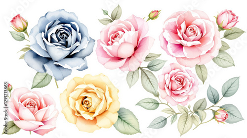 pink watercolor arrangements with flowers, set, bundle, bouquets with wildflowers, leaves, branches. Botanical illustration