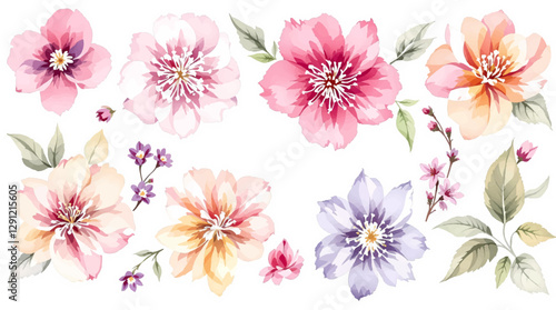pink watercolor arrangements with flowers, set, bundle, bouquets with wildflowers, leaves, branches. Botanical illustration