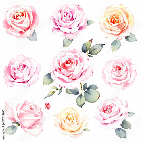Pink flower watercolor hand drawn illustration