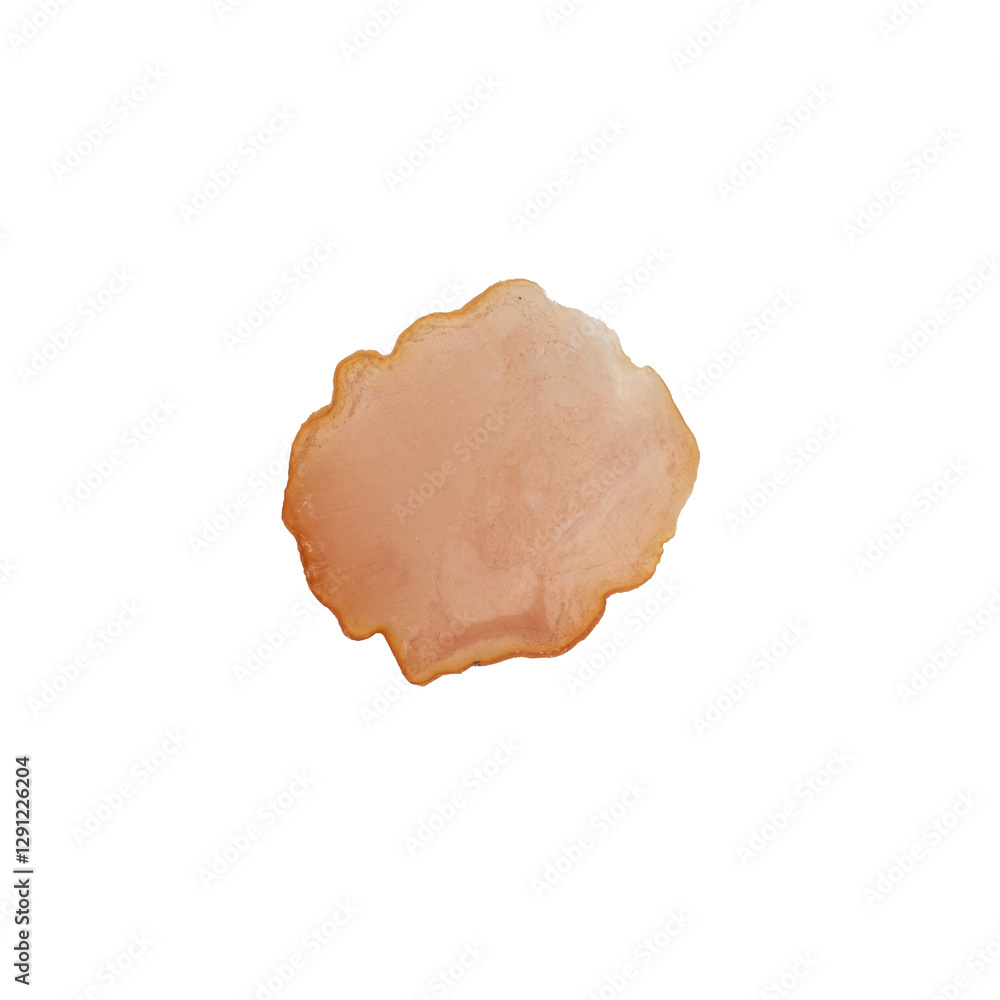 Slice of a dry meat snack isolated on a white background Slice of a dry meat snack isolated on a white background