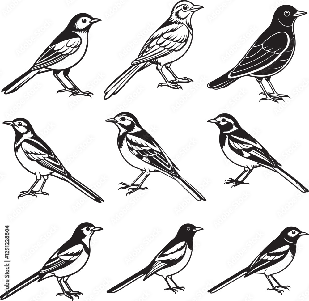 Fototapeta premium Line art vector illustration bird set image