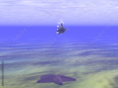 Mysterious dolphin swims up to a starfish