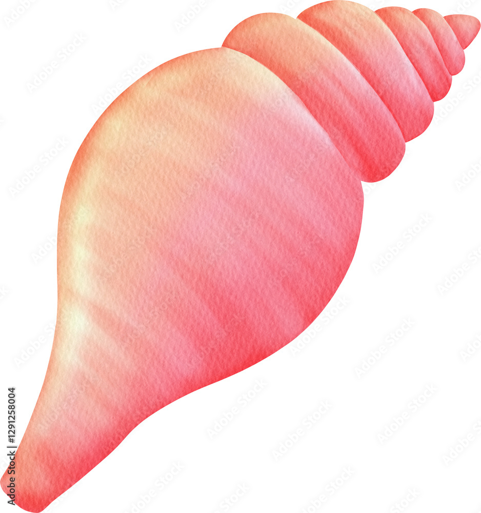 Fototapeta premium watercolor conch