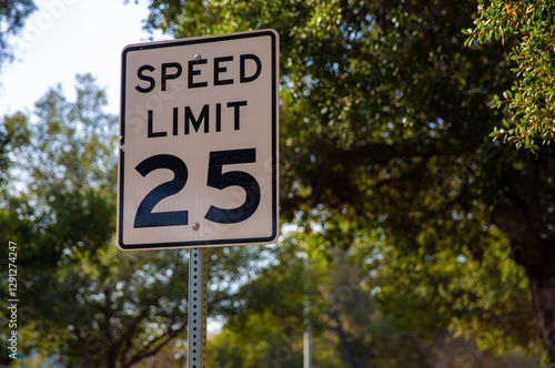 25 Mile Per Hour Street Sign
