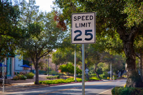 25 Mile Per Hour Street Sign