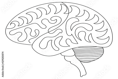 
Human brain Continuous one line art drawing of scissors vector illustration design