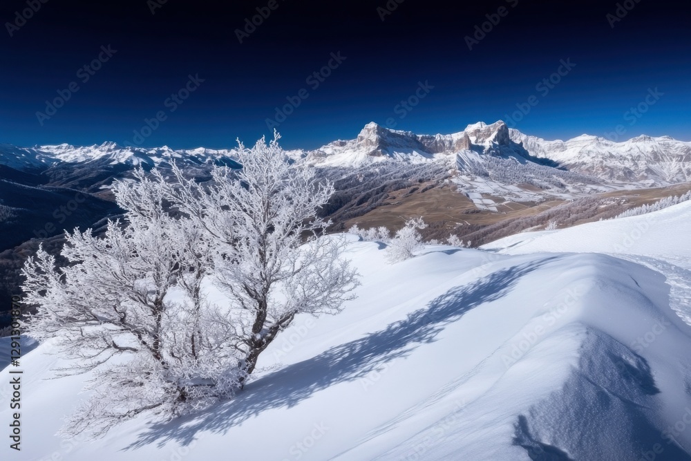 Obraz premium Snowy mountain landscape with frosty trees blue sky