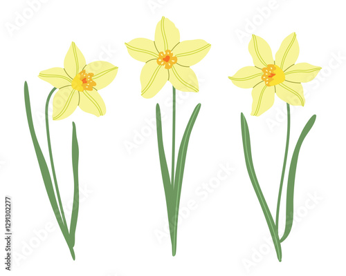 Spring meadow flowers vector illustration collection. Modern hand drawn daffodils, narcissus clip art set for books, stationery, banners and social media