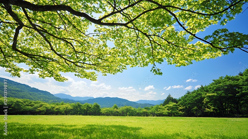 Bright Sunny Day Landscape with Lush Green Field and Blue Sky Bright Sunny Day Landscape with Lush Green Field and Blue Sky