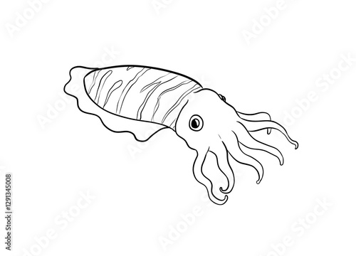 Tableau sur toile cuttlefish digital illustration drawing isolated