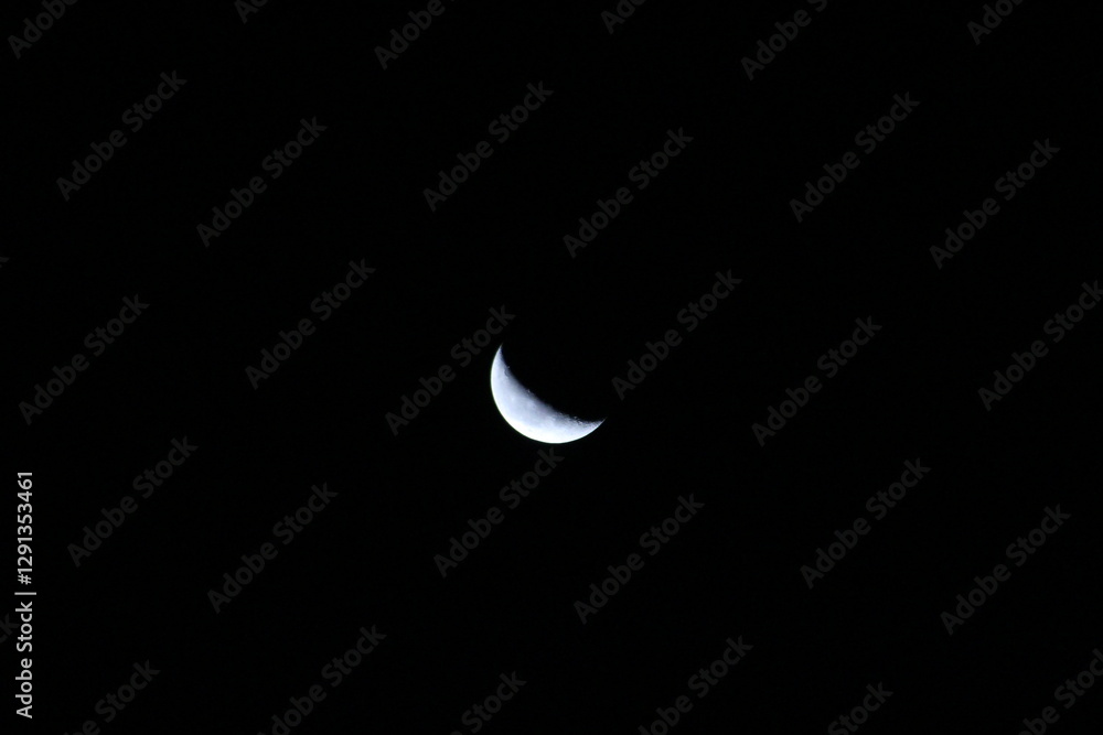Obraz premium 三日月 Crescent
