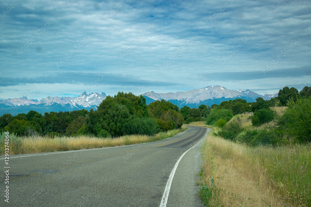 Fototapeta premium Highway crossing patagonian forest landscape, rio negro, argentina