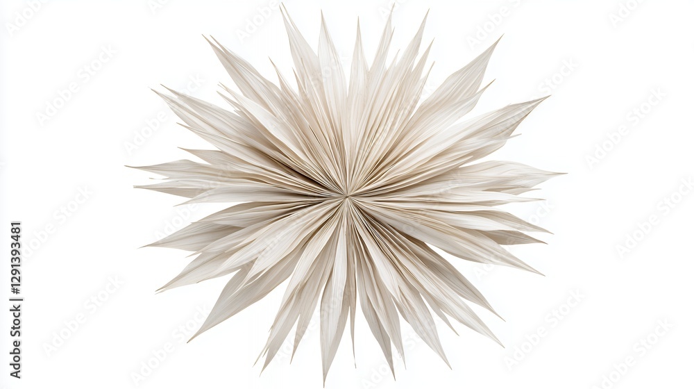 Obraz premium Abstract Beige and White Paper Starburst Design