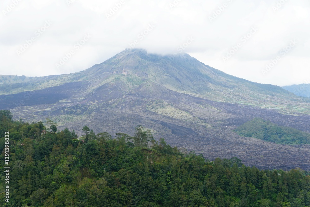 Fototapeta premium An active volcano of Mount Batur, shrouded in a light mist, dominates the landscape, its slopes a tapestry of dark volcanic rock and vibrant green forest near Bali, Indonesia