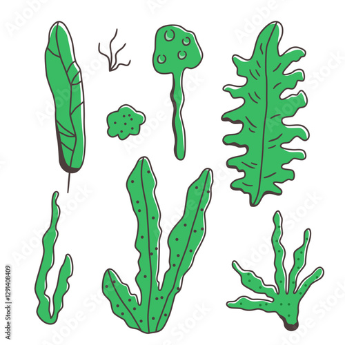 Hand-drawn collection of seaweed and ocean plants in cartoon style. Green marine elements with playful shapes. Vector illustration for underwater themes and decorative ocean designs.