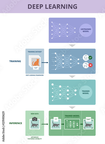 Deep learning: training and inference process