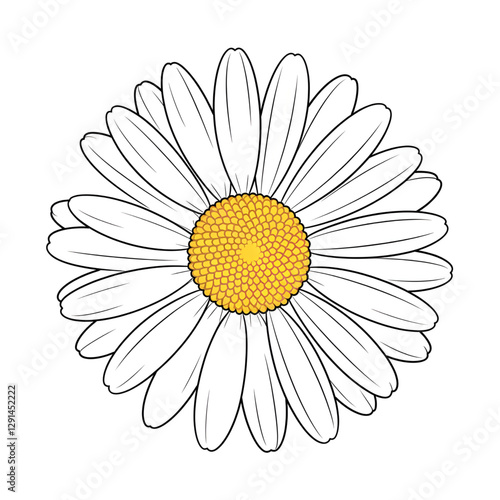 A line art flower daisy illustration of a coloring page