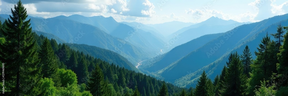 Fototapeta premium Dense forest in the heart of the Blue Mountains, landscape, wildlife, mountains