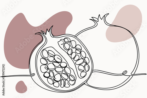 Pomegranate Line Drawing Art