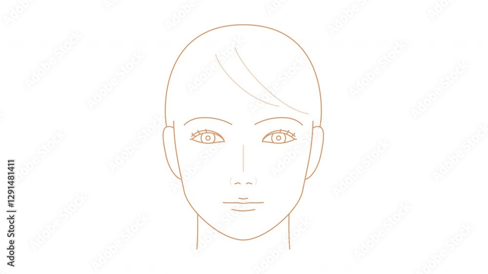正面から見た女性の顔。歪みがある顔からシンメトリーの顔に変化する。イラスト動画
正面から見た女性の顔。歪みがある顔からシンメトリーの顔に変化する。イラスト動画