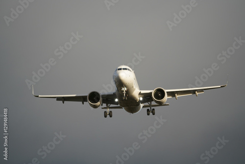Mittelstrecken-Airliner