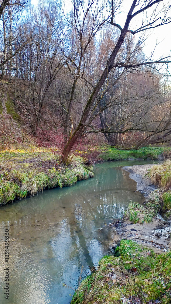 Springtime landscape. Trees near forest stream, illuminated by setting sun. Early spring Springtime landscape. Trees near forest stream, illuminated by setting sun. Early spring