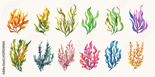 Aquarelle set of seagrass. Sea and ocean plants watercolor on white isolated background. Underwater algae and plants concept. Watercolor marine botany. Vector illustration.