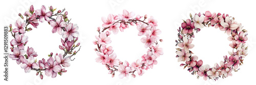 Watercolor set of spring wreaths png. Spring branches of magnolia and sakura braided into a round wreath. Spring frames. Spring and blossom concept. Vector illustration.