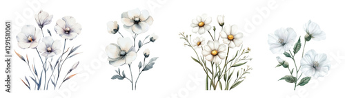 Watercolor set of white flowers png. Watercolor field and meadow flowers in vintage style. Flower elements for wedding designs, rustic, etc. Watercolor botany, vector.