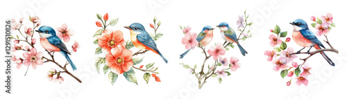 Watercolor set of spring birds sitting on a branch of a flowering tree. Spring birds. Concept of spring, awakening of nature. Elements for spring designs. Vector illustration.