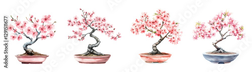 Watercolor set of bonsai elements with blooming sakura. Japanese bonsai with pink sakura in a pot. Japanese elements. Traditional Japanese interior design nature plant.