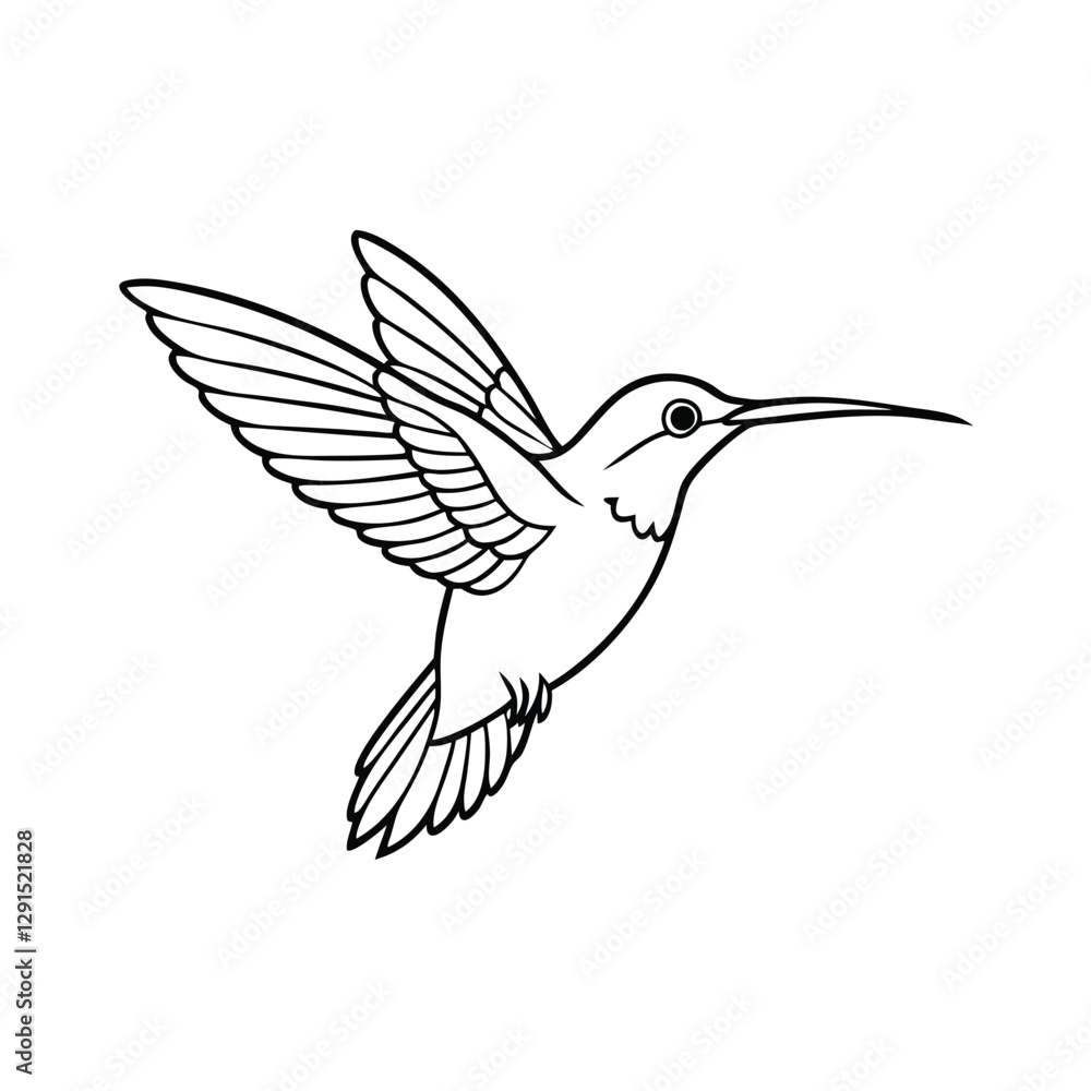 hummingbird vector illustration hummingbird vector illustration