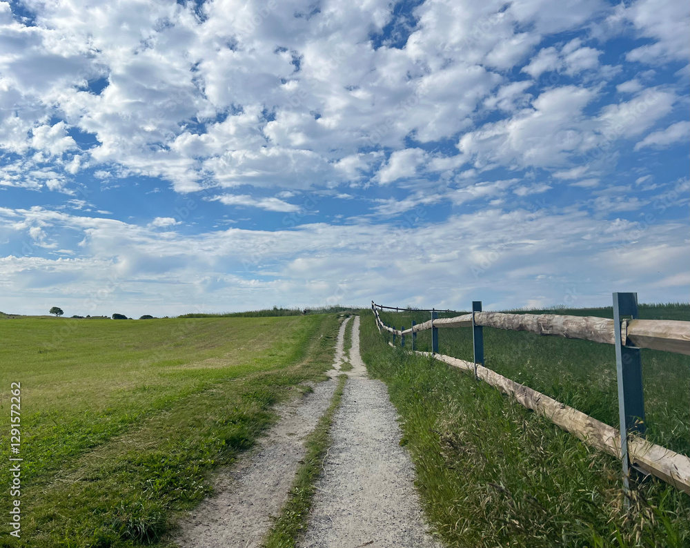 A dirt path lined with wooden fences cuts through green fields under a vibrant blue sky. Fluffy clouds add depth, creating a serene, pastoral landscape. A dirt path lined with wooden fences cuts through green fields under a vibrant blue sky. Fluffy clouds add depth, creating a serene, pastoral landscape.
