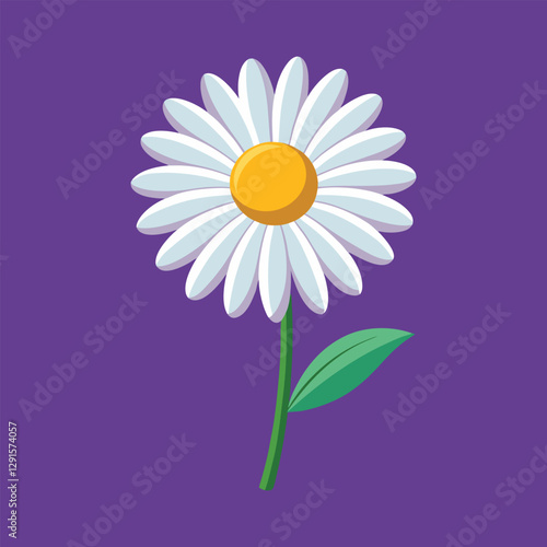 A vector illustration of daisy flower isolated on background