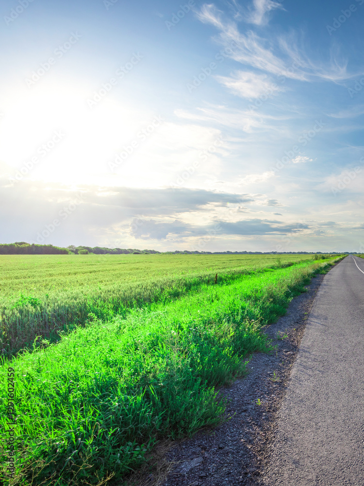 Road with a grassy median and a clear blue sky Road with a grassy median and a clear blue sky
