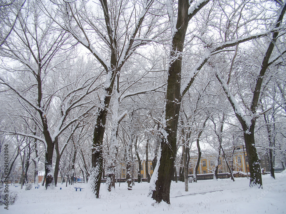 Fototapeta premium Snowy park scene with trees, building, overcast sky, and winter atmosphere